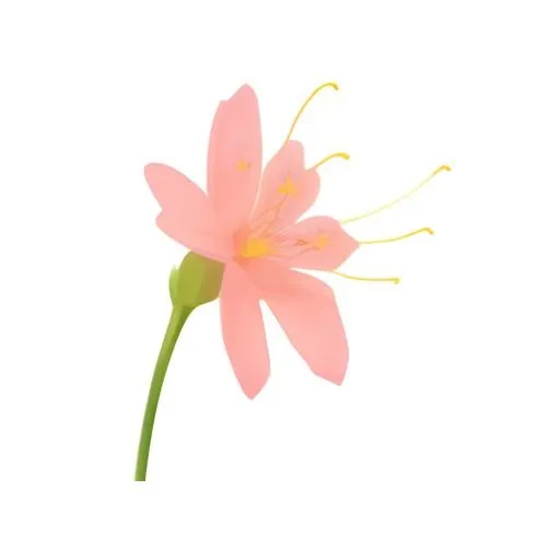 花免抠(2048x2048)