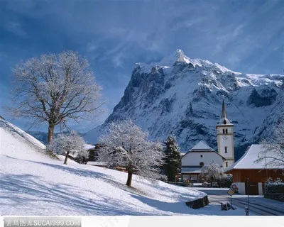 雪下的房屋树木 雪下的房屋树木