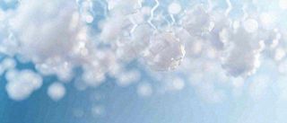 冬天冰枝冰冷枝叶雪球，小雪大雪冬至