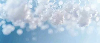 冬天冰枝冰冷枝叶雪球，小雪大雪冬至