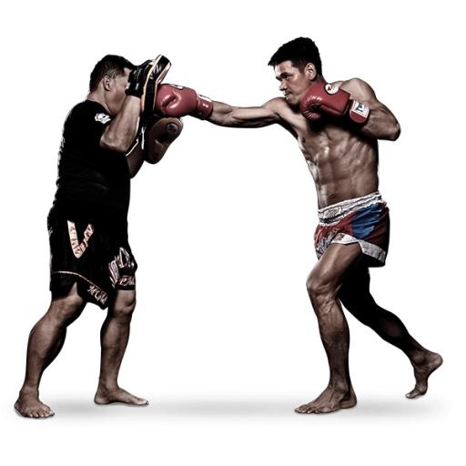综合格斗 PNG, MMA PNG免抠(600x600)
