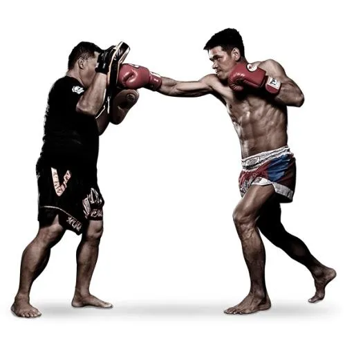 综合格斗 PNG, MMA PNG免抠(600x600)