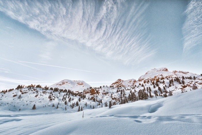 冬天白雪风景背景