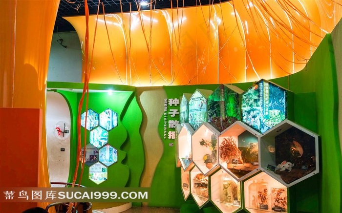 自然博物馆植物展厅