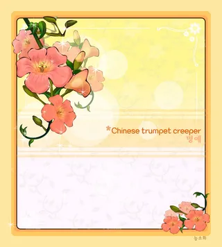 手绘花卉装饰边框背景