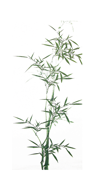竹子水墨画中国风国画墨水书法竹子画