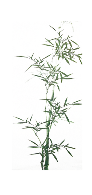 竹子水墨画中国风国画墨水书法竹子画 竹子水墨画中国风国画墨水书法竹子画
