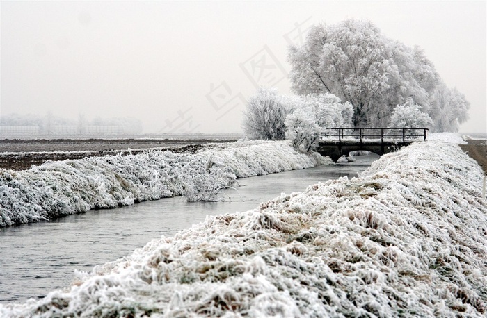 冬季的雪地图片