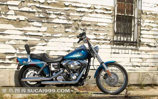 哈雷摩托摄影