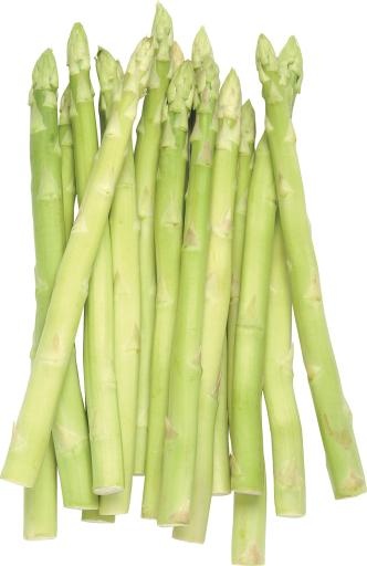 芦笋 PNG免抠