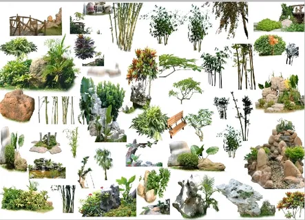 综合树psd素材 综合树psd素材