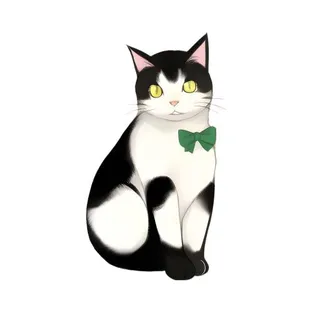 猫宠物动物免抠