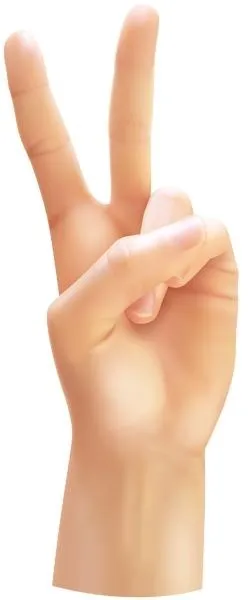 手 PNG免抠(248x600)