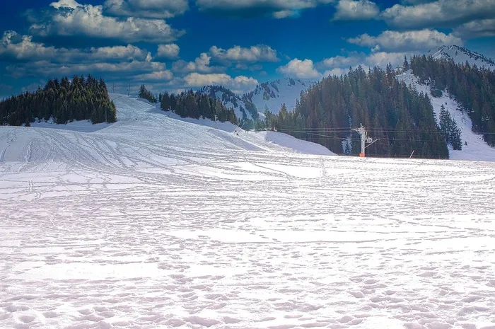 冬天自然背景风景