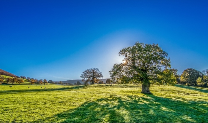 冬天蓝天背景风景