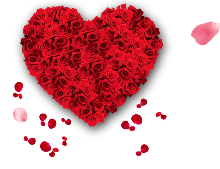 玫瑰花爱心卡通情人节