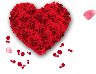 玫瑰花爱心卡通情人节