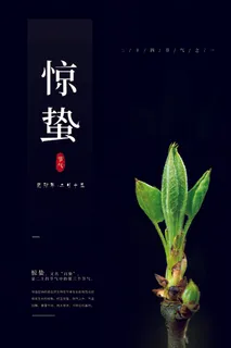 黑色高档风二十四节气惊蛰海报