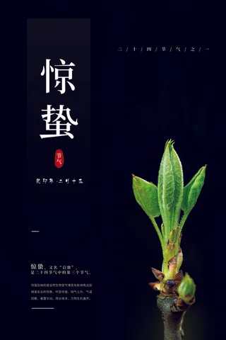 黑色高档风二十四节气惊蛰海报