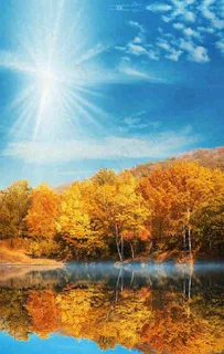 秋天蓝天阳光秋叶树木湖面水中倒影，秋分寒露摄影图