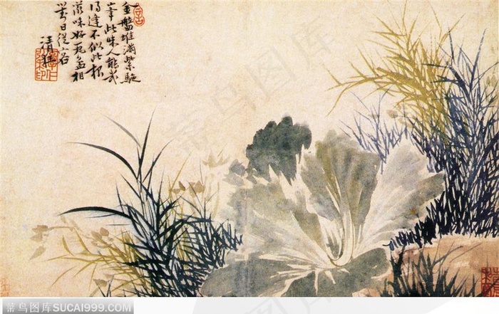 花鸟篇-植物