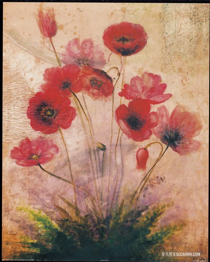 唯美花卉时尚艺术插画