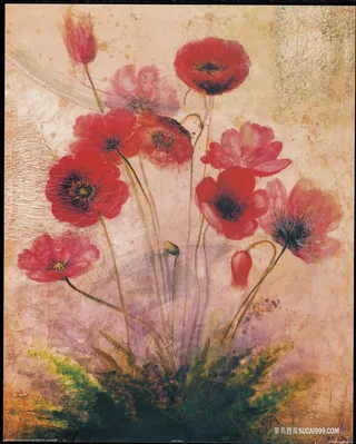 唯美花卉时尚艺术插画