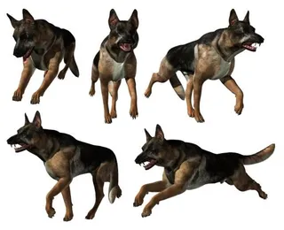 德国牧羊犬 PNG免抠