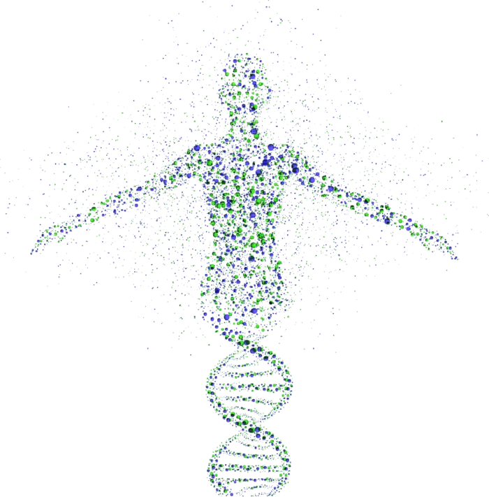 人体基因图科技kv主视觉