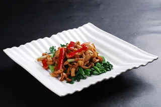 CXC00242菜远白玉菇