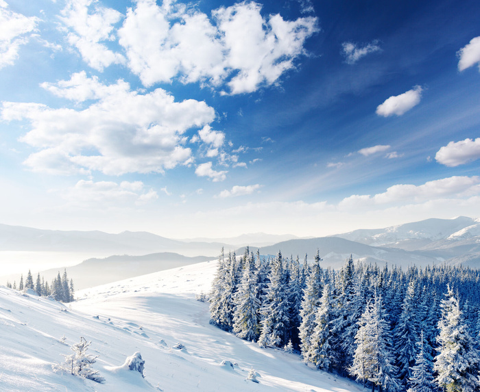 冬天雪景高清图片