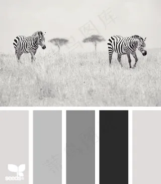 动物配色色卡色彩搭配