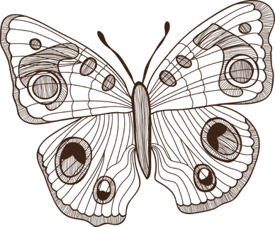 卡通动画动画蝴蝶免扣PNG手绘插画图片素材 (154)