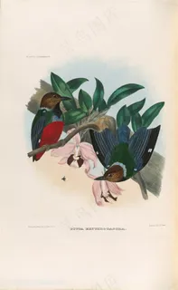 粉色小花与小鸟油画图片