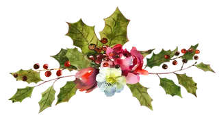 高清免扣手绘花卉高清水彩