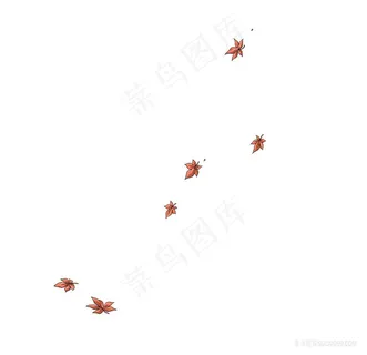 飘落枫叶素材
