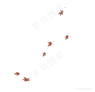 飘落枫叶素材