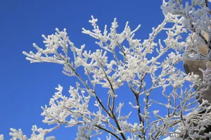 安徽安庆天竺山雪景图片-第6张