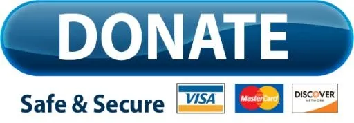 捐赠 PNG免抠(600x209)