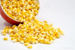 甜玉米新鲜玉米