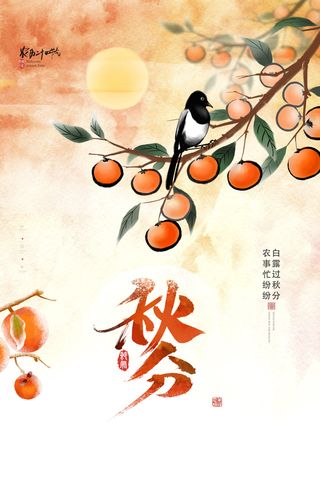 秋分节气海报