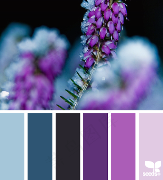 冬天系配色色卡色彩搭配