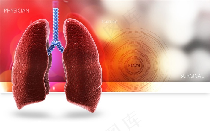 身体器官医疗科学素材高清图片