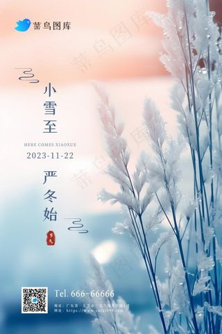 小雪粉蓝冬天冰枝叶节气海报