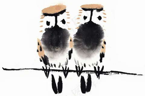 鸟禽绘画摄影图片