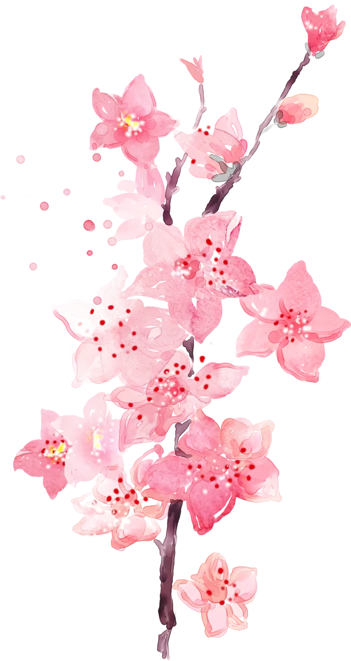 粉色简约风手绘鲜花花朵水墨画PNG素材图片 (87)
