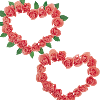 玫瑰花卡通爱惜