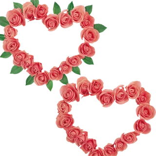 玫瑰花卡通爱惜