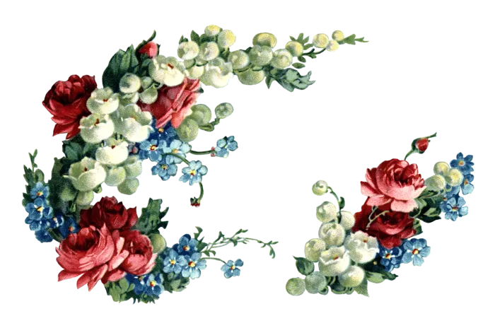 古典花卉png免扣素材