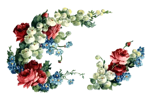 古典花卉png免扣素材